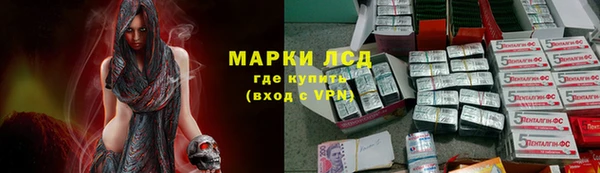 твердый Аркадак