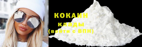 твердый Аркадак