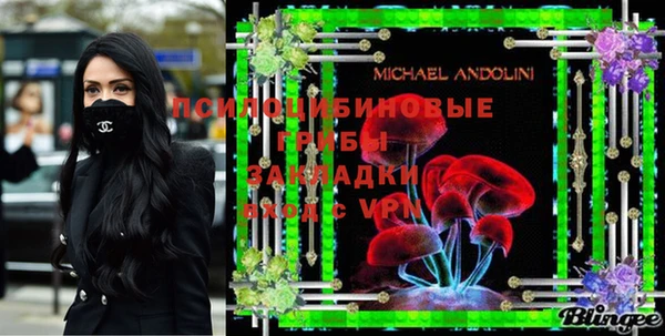 герыч Арсеньев